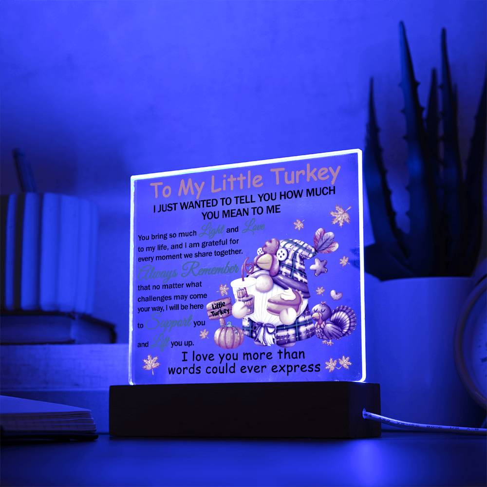 Loving Gift - You Mean The World To Me - Acrylic Square Plaque with Available LED Night Light