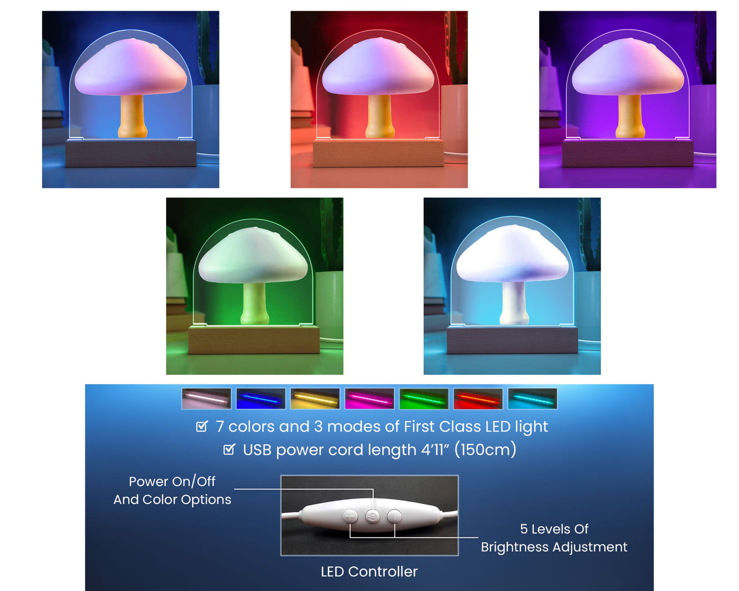 Mushroom Acrylic Dome Display with LED for Lamp or Night Light