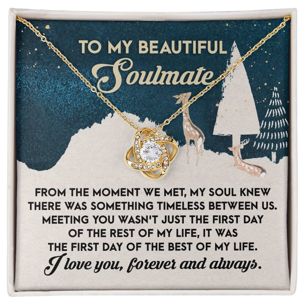 Soulmate Jewelry Gift - Love Knot Necklace - Something TImeless Between Us