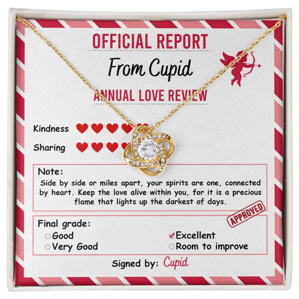 Valentine's Day Soulmate Jewelry Gift - Love Knot Forever Necklace - Official Report