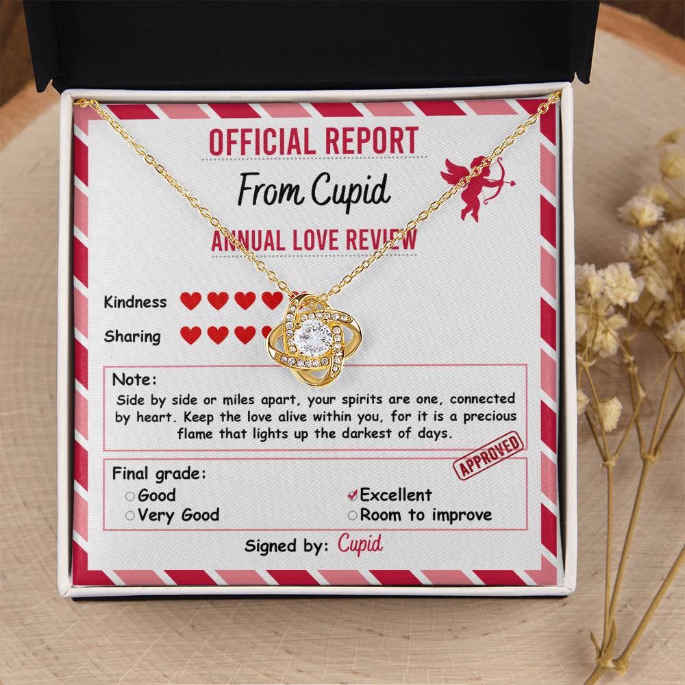 Valentine's Day Soulmate Jewelry Gift - Love Knot Forever Necklace - Official Report