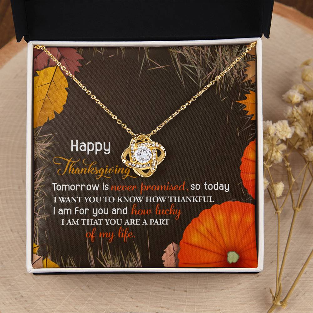 Thanksgiving Jewelry Gift For Women - How Lucky I Am