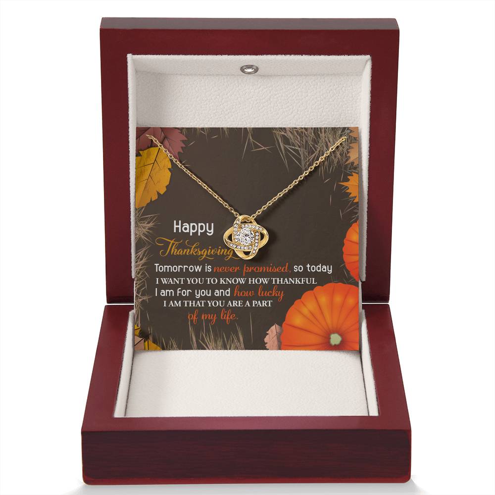 Thanksgiving Jewelry Gift For Women - How Lucky I Am