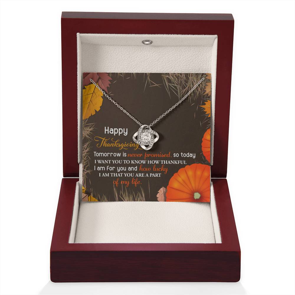 Thanksgiving Jewelry Gift For Women - How Lucky I Am