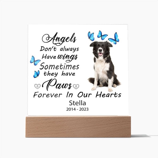 Border Collie Memorial Square Acrylic Sign Plaque