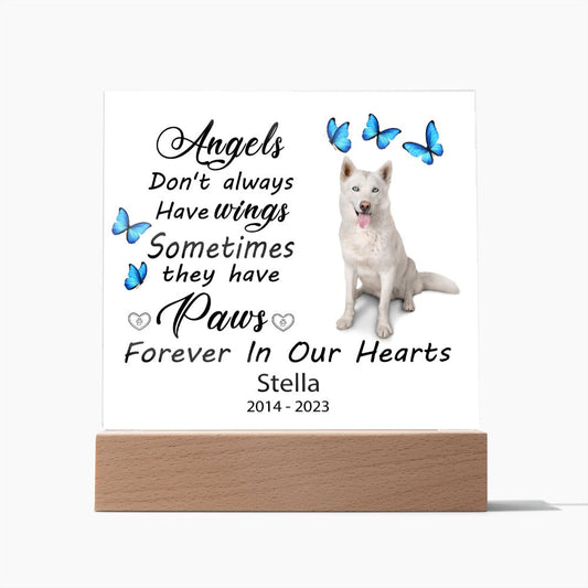 Husky Memorial Square Acrylic Sign Plaque