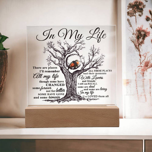 Soulmate Gift - Acrylic Square Plaque with Available LED Night Light - In My Life