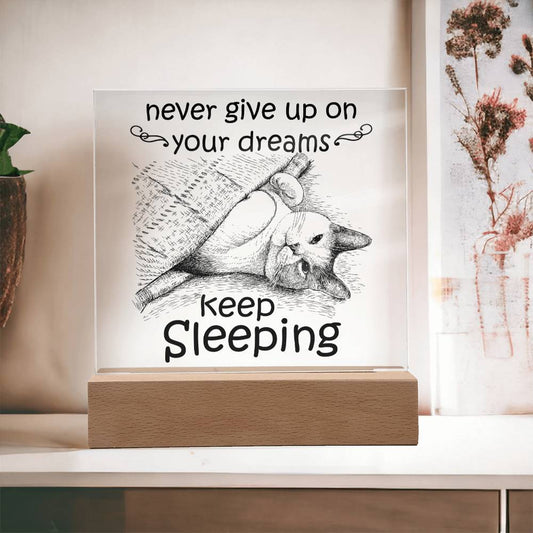 Encouragement Gift - Acrylic Square Plaque with Available LED Night Light - Never Give Up On Your Dreams