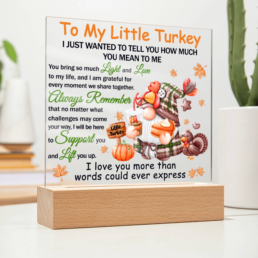 Loving Gift - You Mean The World To Me - Acrylic Square Plaque with Available LED Night Light