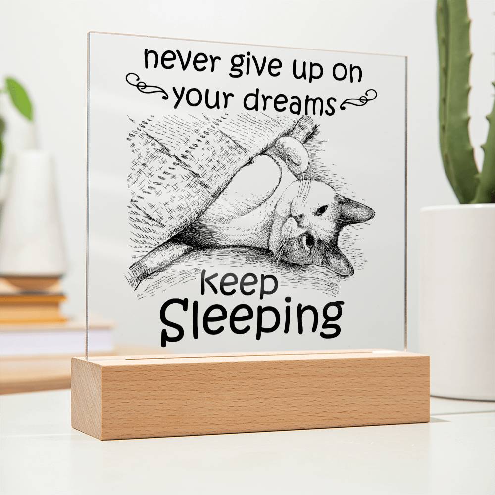 Encouragement Gift - Acrylic Square Plaque with Available LED Night Light - Never Give Up On Your Dreams