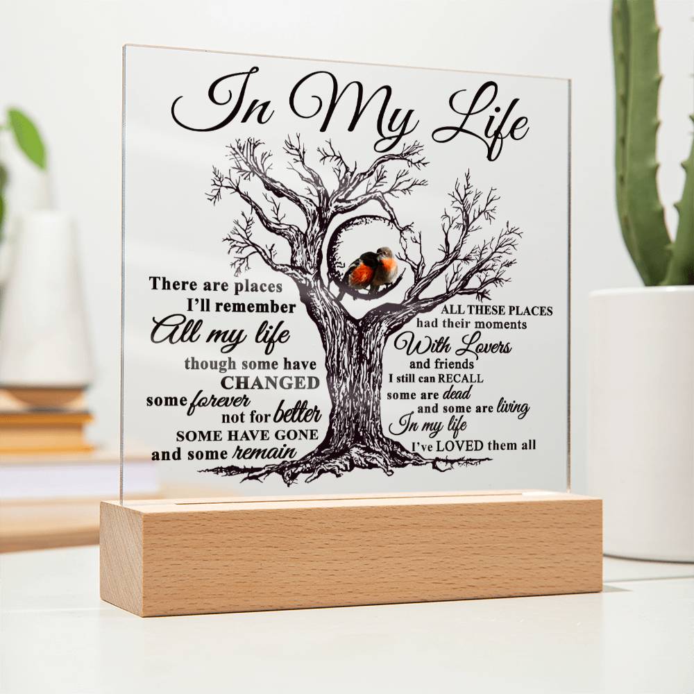 Soulmate Gift - Acrylic Square Plaque with Available LED Night Light - In My Life