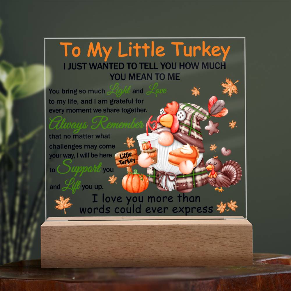 Loving Gift - You Mean The World To Me - Acrylic Square Plaque with Available LED Night Light