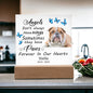 English Bulldog Memorial Square Acrylic Sign Plaque