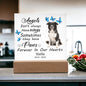 Border Collie Memorial Square Acrylic Sign Plaque