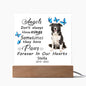 Border Collie Memorial Square Acrylic Sign Plaque