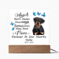 Rottweiler Memorial Square Acrylic Sign Plaque