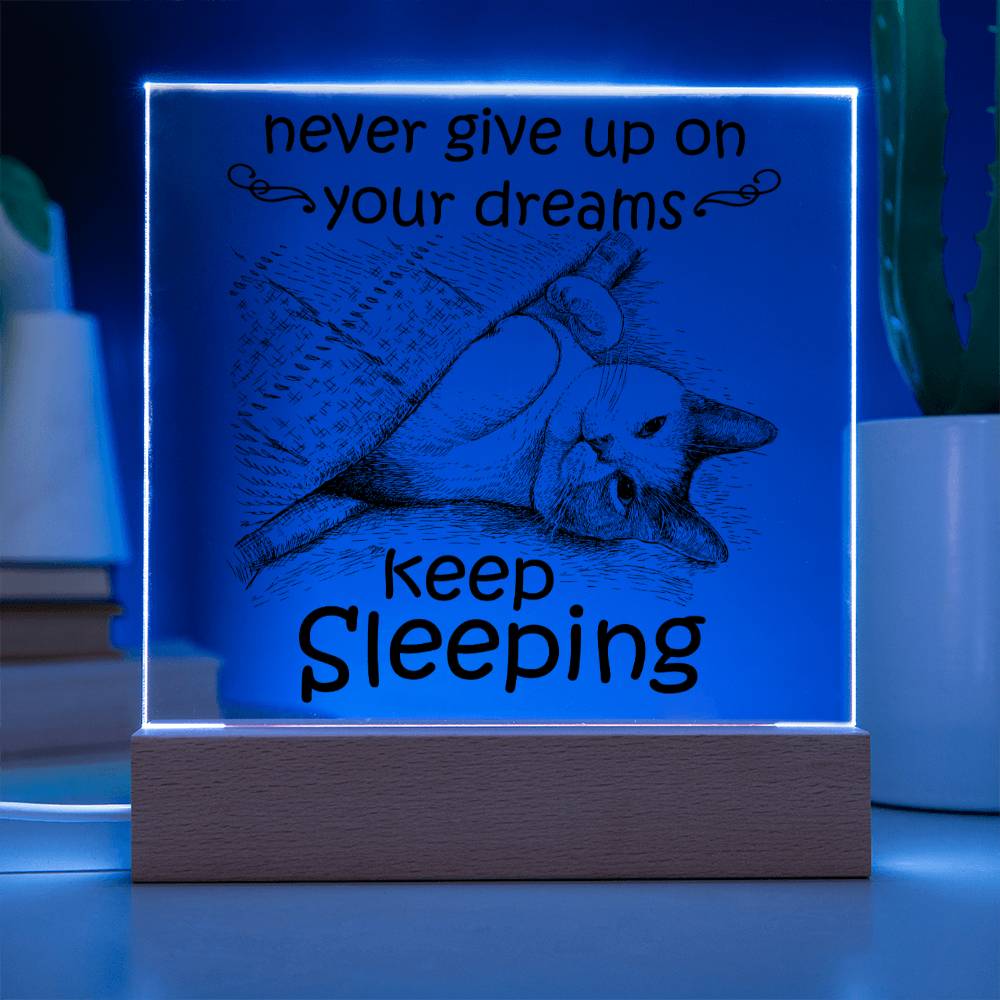 Encouragement Gift - Acrylic Square Plaque with Available LED Night Light - Never Give Up On Your Dreams