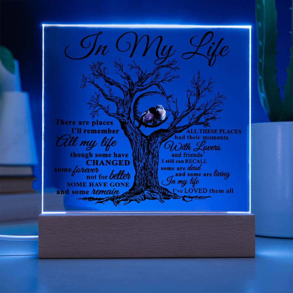 Soulmate Gift - Acrylic Square Plaque with Available LED Night Light - In My Life