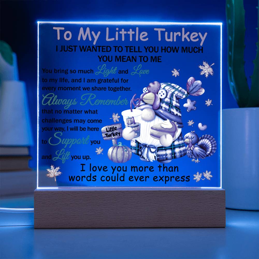 Loving Gift - You Mean The World To Me - Acrylic Square Plaque with Available LED Night Light