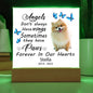 Pomerainian Memorial Square Acrylic Sign Plaque