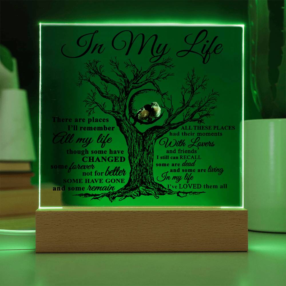 Soulmate Gift - Acrylic Square Plaque with Available LED Night Light - In My Life