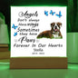 Boxer Memorial Square Acrylic Sign Plaque