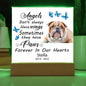 English Bulldog Memorial Square Acrylic Sign Plaque