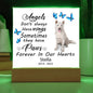 Husky Memorial Square Acrylic Sign Plaque