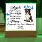 Border Collie Memorial Square Acrylic Sign Plaque
