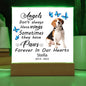 Beagle Memorial Square Acrylic Sign Plaque