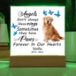 Golden Retriever Memorial Square Acrylic Sign Plaque