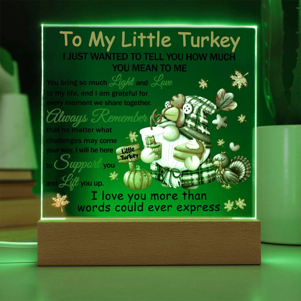 Loving Gift - You Mean The World To Me - Acrylic Square Plaque with Available LED Night Light