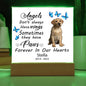 Labrador Retriever Memorial Square Acrylic Sign Plaque