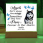 Black White Blue Eye Husky Memorial Square Acrylic Sign Plaque