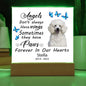 Poodle Memorial Square Acrylic Sign Plaque