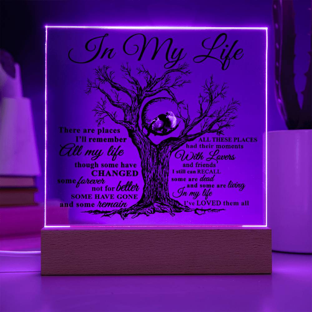 Soulmate Gift - Acrylic Square Plaque with Available LED Night Light - In My Life