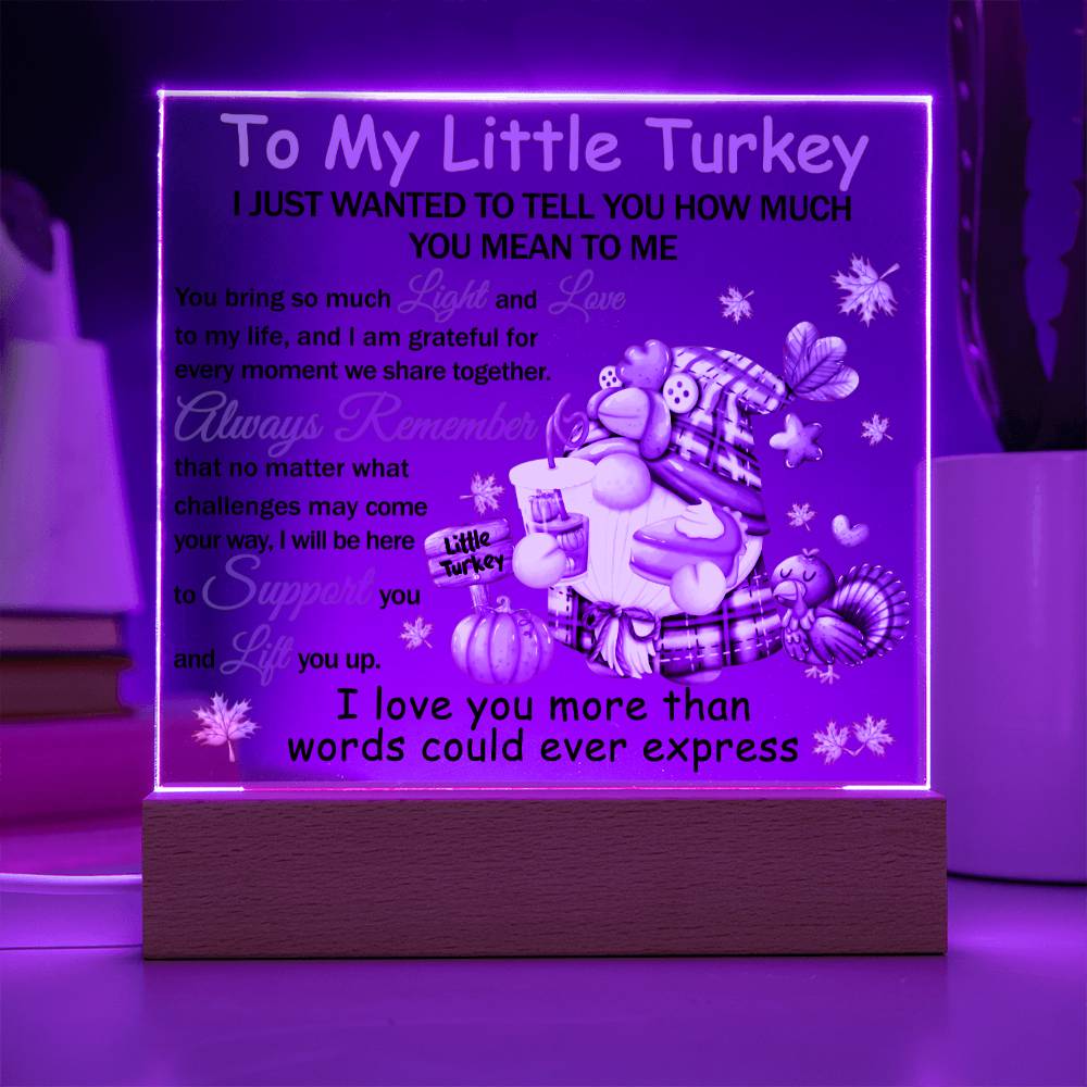 Loving Gift - You Mean The World To Me - Acrylic Square Plaque with Available LED Night Light