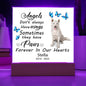 Husky Memorial Square Acrylic Sign Plaque