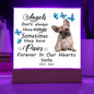 French Bulldog Memorial Square Acrylic Sign Plaque