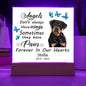 Rottweiler Memorial Square Acrylic Sign Plaque