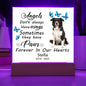 Border Collie Memorial Square Acrylic Sign Plaque