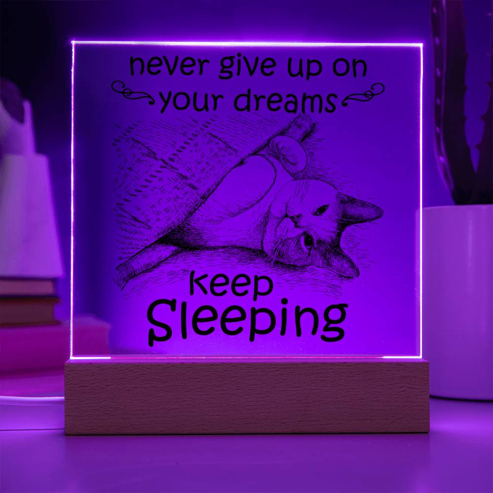 Encouragement Gift - Acrylic Square Plaque with Available LED Night Light - Never Give Up On Your Dreams