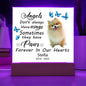 Pomerainian Memorial Square Acrylic Sign Plaque