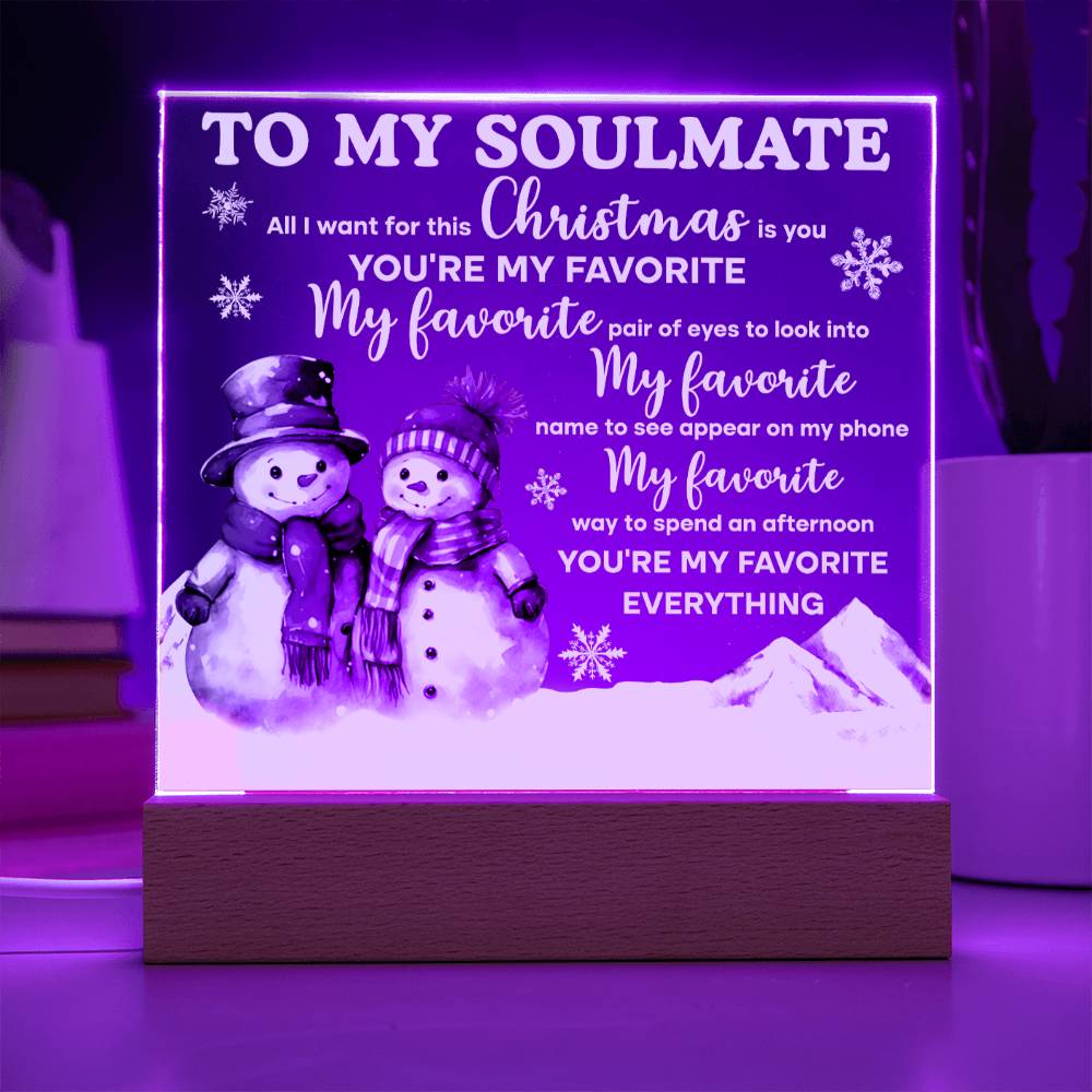 Soulmate Christmas Gift - My One and Only - Acrylic  Plaque with Available LED Night Light