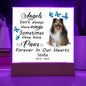 Sheltie Memorial Square Acrylic Sign Plaque