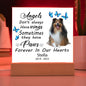 Sheltie Memorial Square Acrylic Sign Plaque