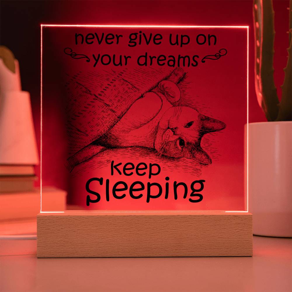 Encouragement Gift - Acrylic Square Plaque with Available LED Night Light - Never Give Up On Your Dreams