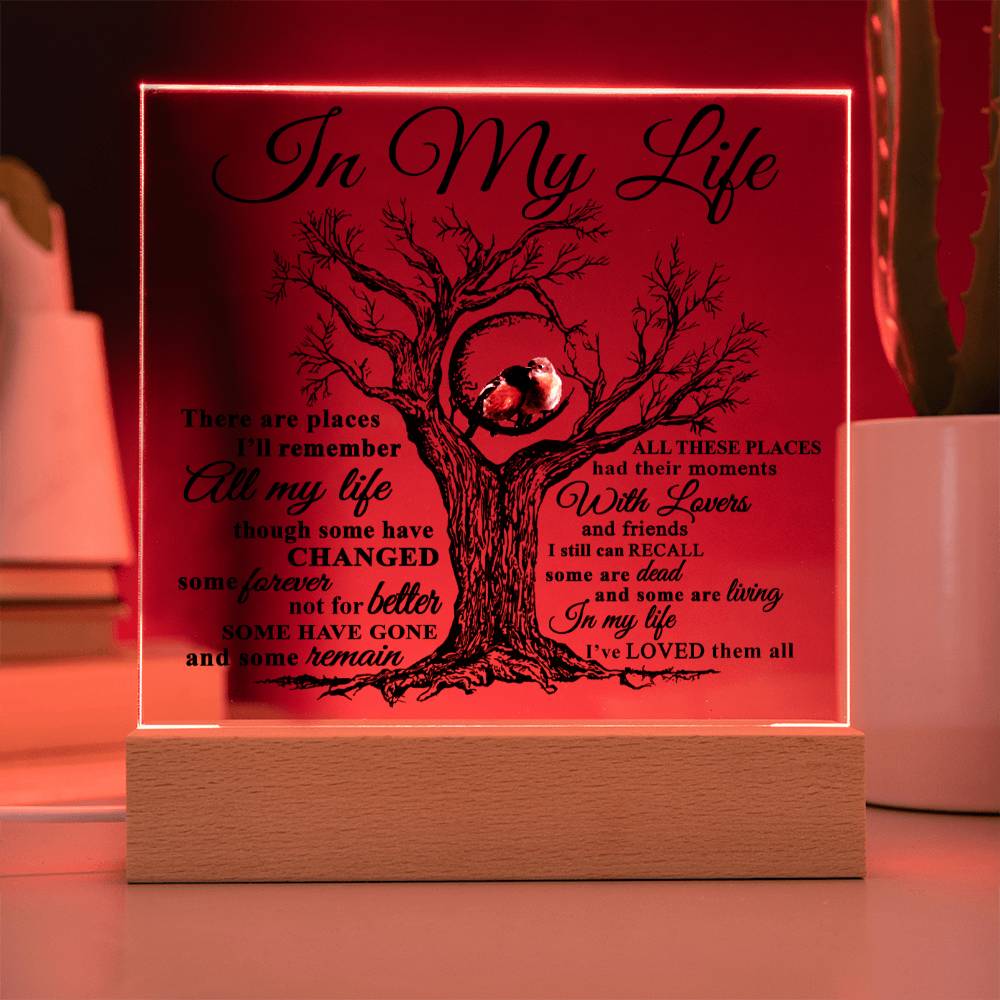 Soulmate Gift - Acrylic Square Plaque with Available LED Night Light - In My Life