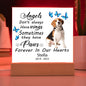 Beagle Memorial Square Acrylic Sign Plaque