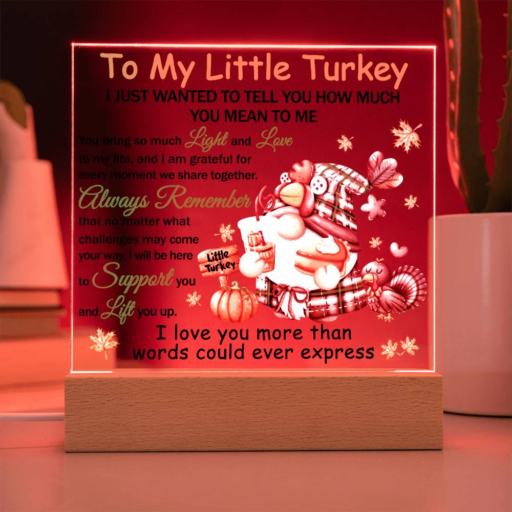 Loving Gift - You Mean The World To Me - Acrylic Square Plaque with Available LED Night Light